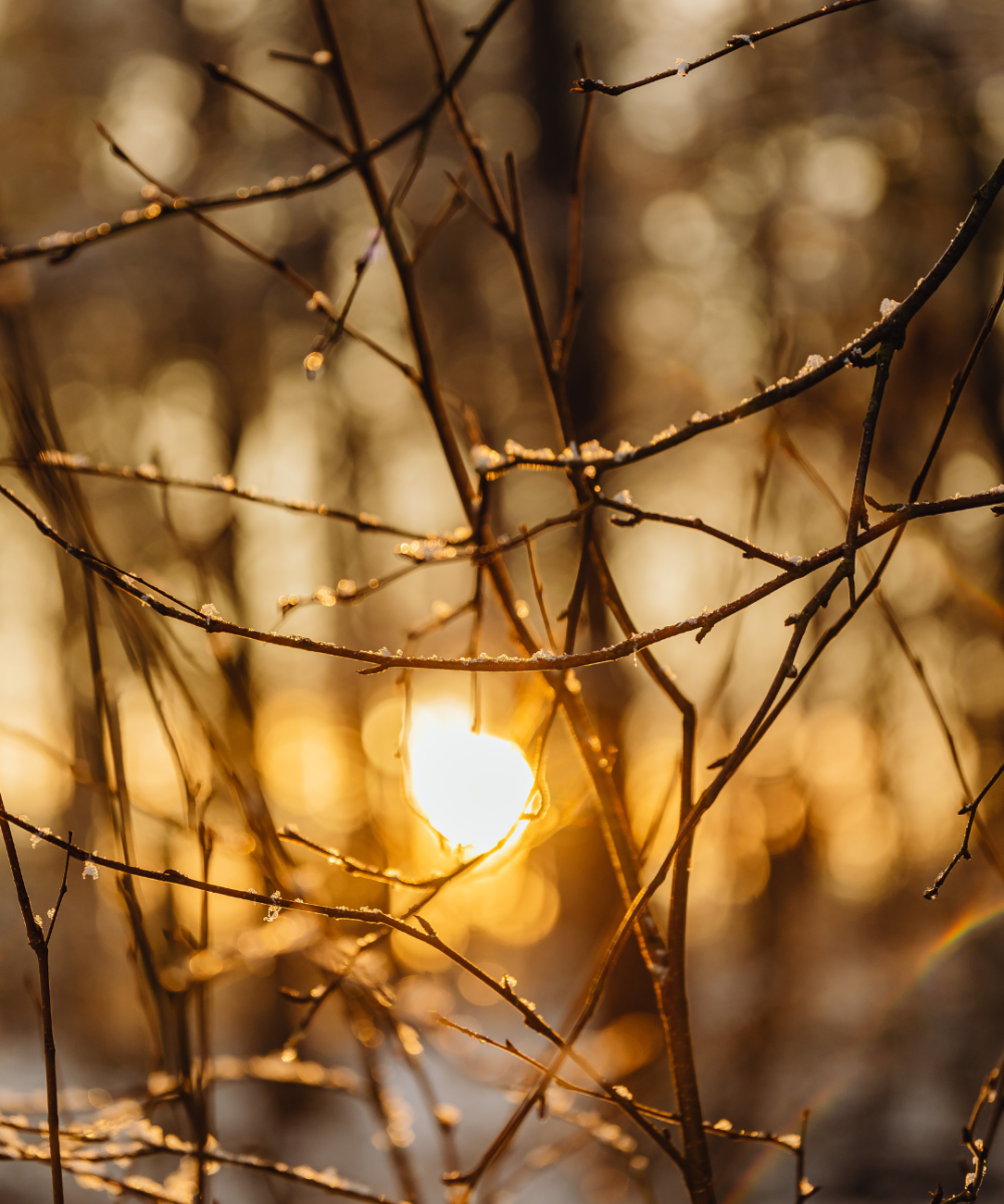 Design sans titre (48)